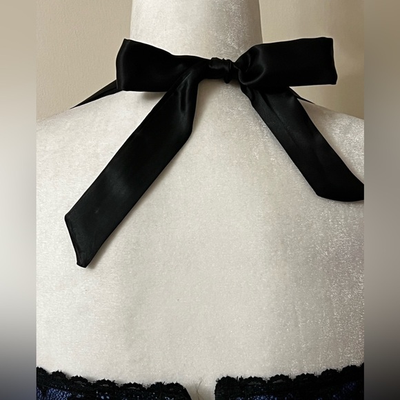 Fredericks of Hollywood Dream Halter Corset blue with black lace lace up 38 EUC - Picture 4 of 6